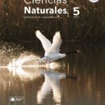 Libro de Ciencias Naturales 5° Básico – Descarga Ahora en Formato PDF