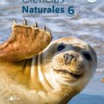 Libro de Ciencias Naturales 6° Básico – Descarga Ahora en Formato PDF